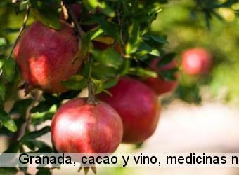 Granada, cacao y vino, medicinas naturales contra la obesidad